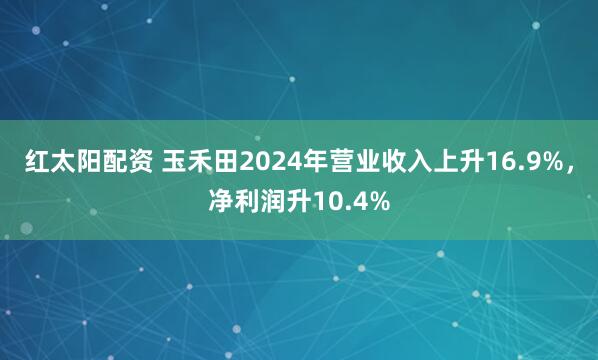 红太阳配资 玉禾田2024年营业收入上升16.9%,净利润升10.4%
