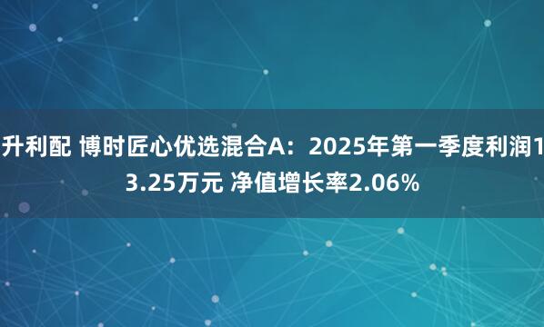 升利配 博时匠心优选混合A：2025年第一季度利润13.25万元 净值增长率2.06%