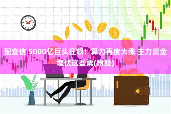 配查信 5000亿巨头狂飙！算力再度大涨 主力资金埋伏这些票(附股)